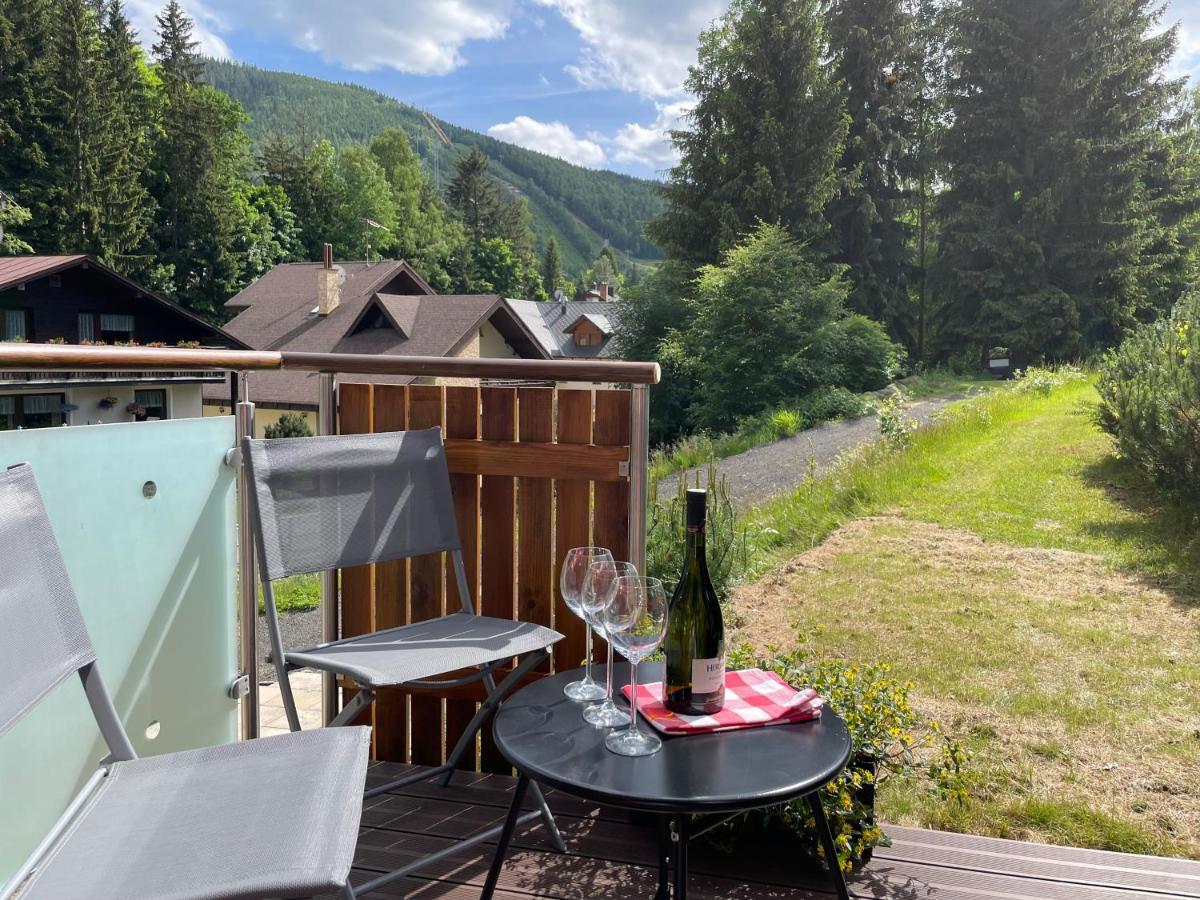 Apartament Garage Harrachov Zewnętrze zdjęcie